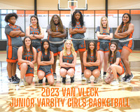 VVHS Girls Basketball