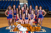 Varsity Cheerleaders 2017-2018
